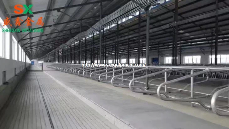 Nezávislé a čisté krávy zdarma