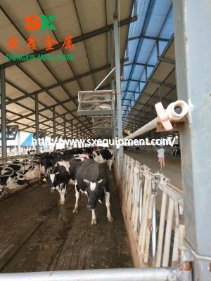 Farm Dairy Cattle Free Stall Zařízení