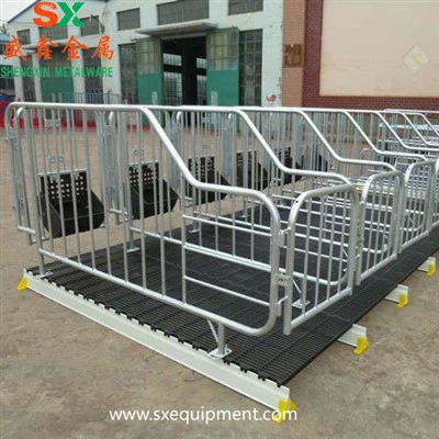 Prasečí gestační stání